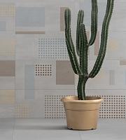 Built, Caesar Built, Caesar