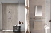 Takeshi, Novogres Takeshi, Novogres