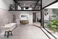 Frame, Venis Frame, Venis