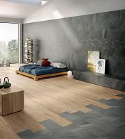 Portraits, Caesar Portraits, Caesar