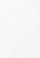 Атем, Sasha27,5x40, Sasha Плитка Настенная W 27,5x40