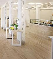 Root, Caesar Root, Caesar