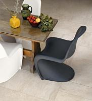 Ardoise,Rex Ardoise,Rex