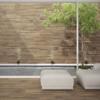 Cambara, Benadresa Cambara, Benadresa